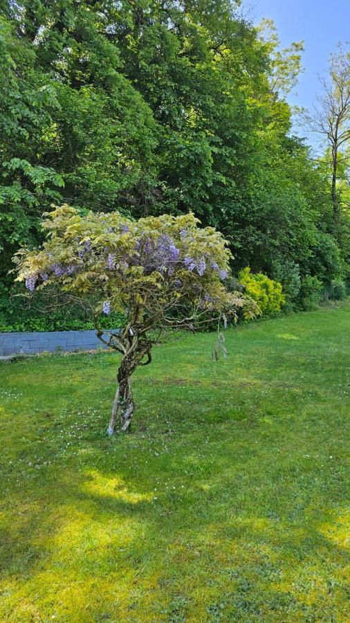 Villa La Moraine Thonon-les-Bains Zewnętrze zdjęcie